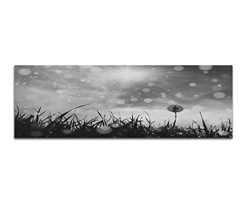 Augenblicke Wandbilder Keilrahmenbild Panoramabild SCHWARZ/Weiss 150x50cm Wiese Pusteblume Sonne Wolken Vintage