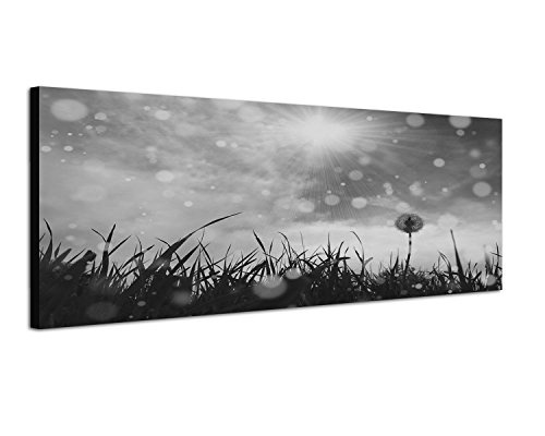 Augenblicke Wandbilder Keilrahmenbild Panoramabild SCHWARZ/Weiss 150x50cm Wiese Pusteblume Sonne Wolken Vintage