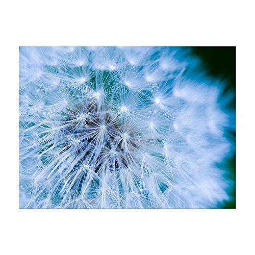 Keilrahmenbild - Pusteblume - Bild auf Leinwand - 120x90 cm 1 teilig - Leinwandbilder - Pflanzen & Blumen - Fauna - Löwenzahn - Leichtigkeit