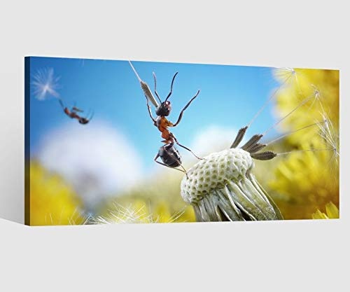 Leinwandbild Ameisen Fliegen Pusteblume Insekten Blume Leinwand Bild Bilder Tierwelt Wandbild Holz Leinwandbilder Kunstdruck vom Hersteller 9AB726, Leinwand Größe 1:60x30cm