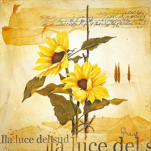 Artland Qualitätsbilder I Bild auf Leinwand Leinwandbilder Wandbilder 50 x 50 cm Botanik Blumen Sonnenblume Collage Gelb I8HB Licht des Südens