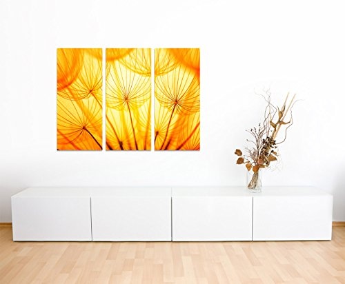130x90cm - Keilrahmenbild Löwenzahn Samen Pusteblume angestrahlt golden 3teiliges Wandbild auf Leinwand und Keilrahmen - Fotobild Kunstdruck Artprint