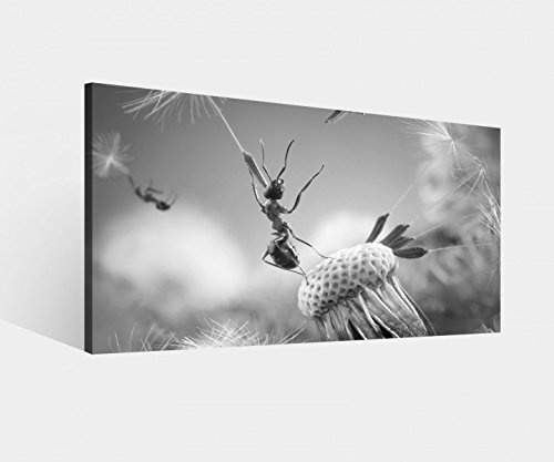 Leinwandbild Ameisen Fliegen Pusteblume Insekten Blume schwarz weiß Leinwand Bild Bilder Wandbild Holz Leinwandbilder vom Hersteller 9W1222, Leinwand Größe 1:80x40cm