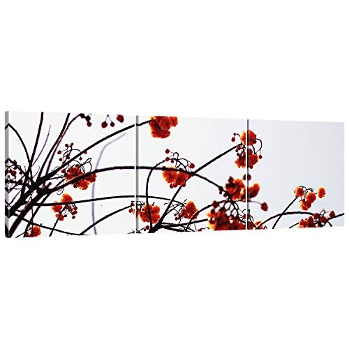 ge Bildet® hochwertiges Panorama Leinwandbild XXL - Chiang Rai Flower - Thailand - 150 x 50 cm mehrteilig (3 teilig) 3089