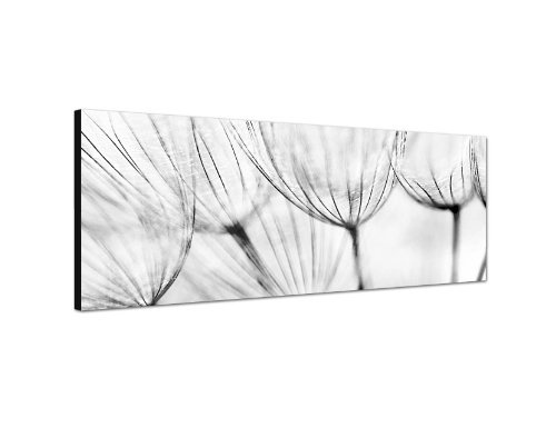 Augenblicke Wandbilder Keilrahmenbild Wandbild 150x50cm Löwenzahn Pusteblume Nahaufnahme