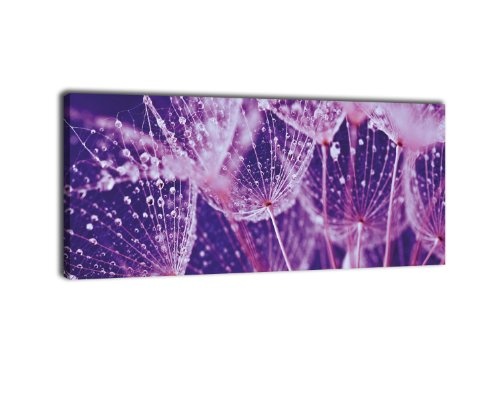 Leinwandbild Panorama Nr. 287 Pusteblume violett 100x40cm, Keilrahmenbild, Bild auf Leinwand, Löwenzahn Blüte Schirmchen