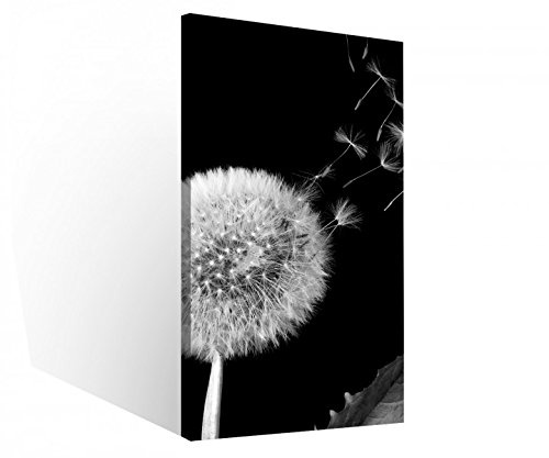 Leinwandbild 1 Tlg Pusteblume fliegende Samen Blume schwarz weiß Leinwand Bild Bilder Holz gerahmt 9U1087, 1 Tlg BxH:30x60cm