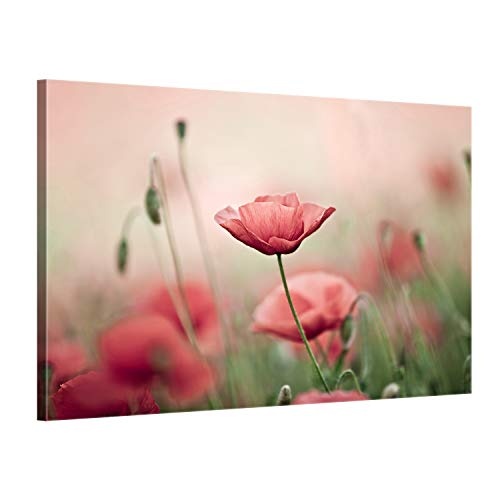 ge Bildet® hochwertiges Leinwandbild - Mohnblumenfeld - Blumen Natur - 100 x 70 cm einteilig 1303