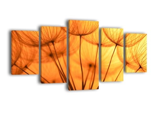 Leinwandbild Pusteblume Orange LW319 Wandbild, Bild auf Leinwand, 5 Teile, 210 x 100 cm, Kunstdruck Canvas, XXL Bilder, Keilrahmenbild, fertig aufgespannt, Bild, Holzrahmen, Löwenzahn, Blüte, Schirmchen