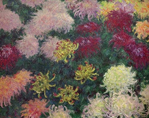 kunst für alle Leinwandbild: Claude Monet Massif de chrysanthèmes - hochwertiger Druck, Leinwand auf Keilrahmen, Bild fertig zum Aufhängen, 65x50 cm