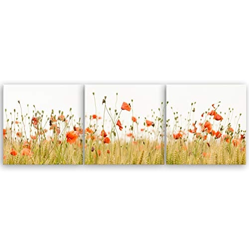 ge Bildet® hochwertiges Panorama Leinwandbild XXL - Mohnfeld - 150 x 50 cm mehrteilig (3 teilig)