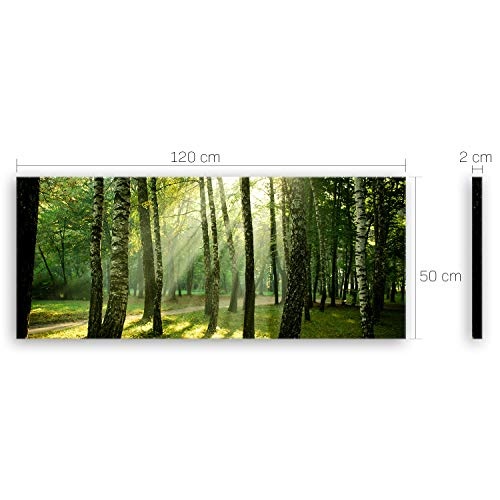 ge Bildet® hochwertiges Leinwandbild Panorama XXL Naturbilder Landschaftsbilder - Wald - Natur Blumen Wald Sonnenschein grün - 120 x 50 cm einteilig 2213 I