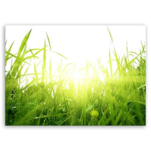 ge Bildet® hochwertiges Leinwandbild - green summer - 100 x 70 cm einteilig 1288