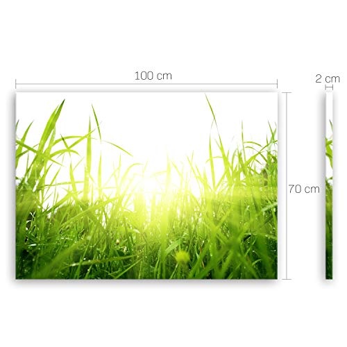 ge Bildet® hochwertiges Leinwandbild - green summer - 100 x 70 cm einteilig 1288