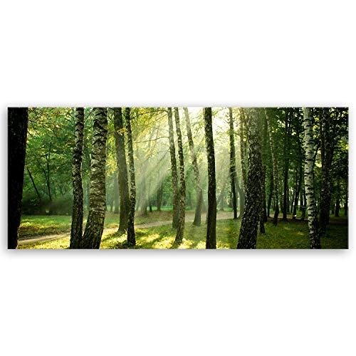 ge Bildet® hochwertiges Leinwandbild XXL Panorama - Wald - 120 x 50 cm einteilig 1078