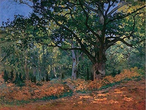 Keilrahmen-Bild - Claude Monet: The Bodmer Oak Fontainebleau Forest 60 x 80 cm