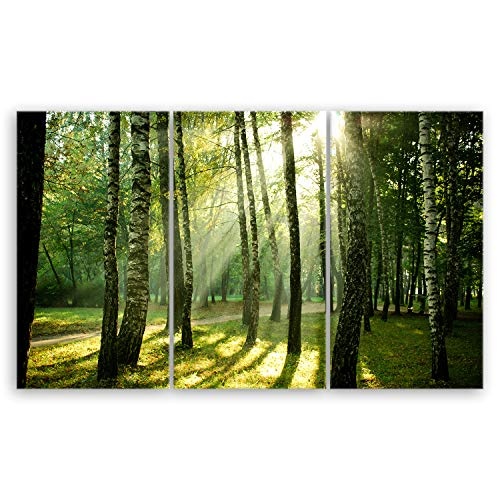 ge Bildet® hochwertiges Leinwandbild XXL Naturbilder Landschaftsbilder - Wald - Natur Blumen Wald Sonnenschein grün - 165 x 100 cm mehrteilig (3 teilig) 2212 I