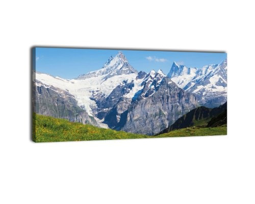 Leinwandbild Panorama Nr. 294 Sommerwiese Alpen 100x40cm, Keilrahmenbild, Bild auf Leinwand, Alm Sommer Grün