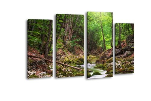 Leinwandbild Flusslauf im Wald LW371 Wandbild, Bild auf...