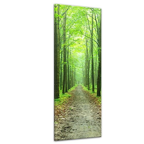 Keilrahmenbild - Waldweg - Bild auf Leinwand - 40x120 cm einteilig - Leinwandbilder - Landschaften - grüner Wald - Ausflug - wandern - Spaziergang