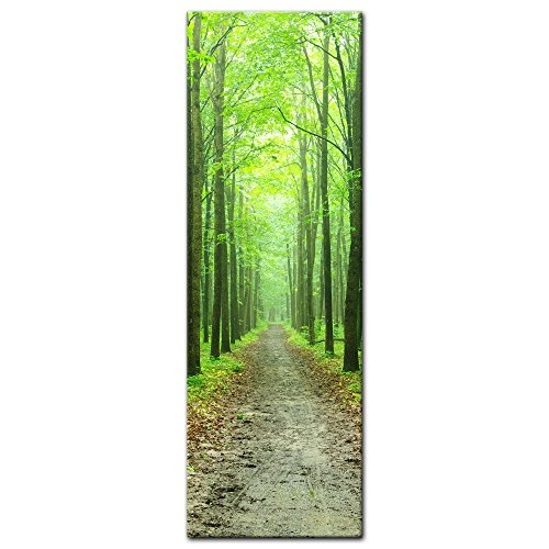 Keilrahmenbild - Waldweg - Bild auf Leinwand - 40x120 cm...
