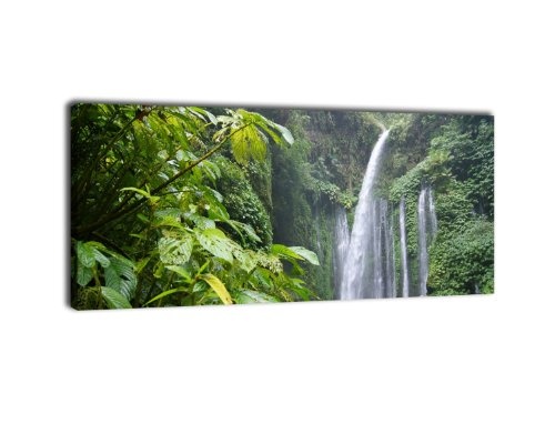 Leinwandbild Panorama Nr. 115 Dschungelwasserfall 100x40cm, Keilrahmenbild, Bild auf Leinwand, Natur Urwald Wasserfall