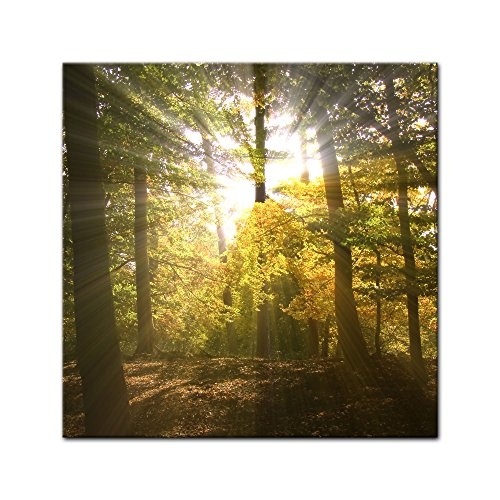 Keilrahmenbild - Waldlichtung - Bild auf Leinwand - 80 x 80 cm - Leinwandbilder - Bilder als Leinwanddruck - Landschaften - Natur - grün - Sonnenstrahlen im Wald
