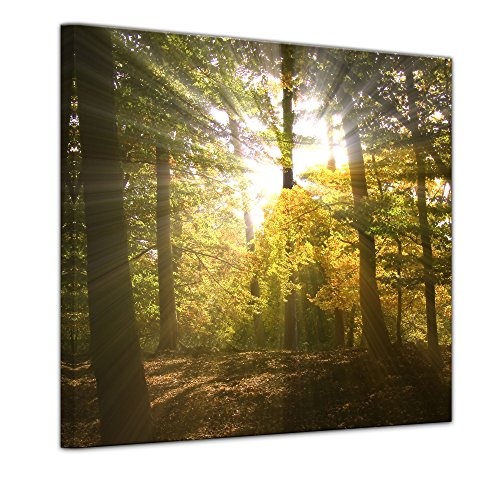 Keilrahmenbild - Waldlichtung - Bild auf Leinwand - 80 x 80 cm - Leinwandbilder - Bilder als Leinwanddruck - Landschaften - Natur - grün - Sonnenstrahlen im Wald