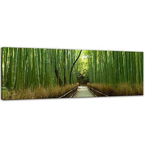 Keilrahmenbild - Bambuswald in Arashiyama - Japan - Bild auf Leinwand - 160x50 cm einteilig - Leinwandbilder - Landschaften - Sagano - hohes Gras - Weg durch einen grünen Bambuswald
