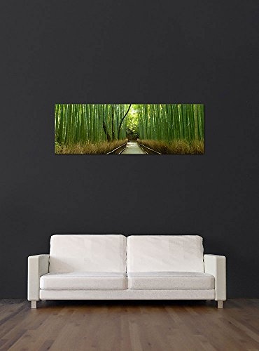 Keilrahmenbild - Bambuswald in Arashiyama - Japan - Bild auf Leinwand - 160x50 cm einteilig - Leinwandbilder - Landschaften - Sagano - hohes Gras - Weg durch einen grünen Bambuswald