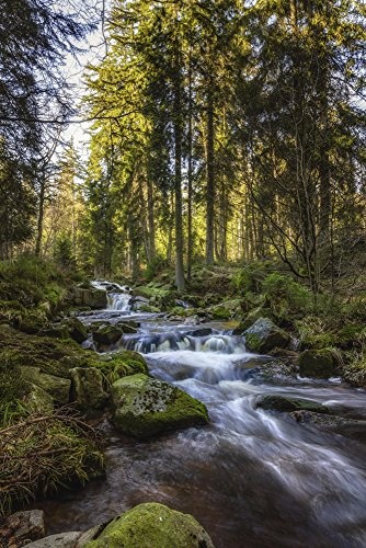 Artland Qualitätsbilder I Bild auf Leinwand Leinwandbilder Wandbilder 60 x 90 cm Landschaften Gewässer Wasserfall Foto Grün C5AW Bodenfälle im Harz