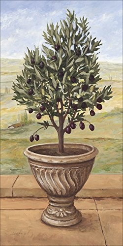 Artland Qualitätsbilder I Bild auf Leinwand Leinwandbilder Wandbilder 30 x 60 cm Botanik Pflanzen Topfpflanze Malerei Grün A1TQ Olivenbaum