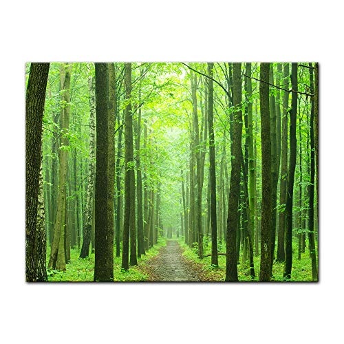 Keilrahmenbild - Waldweg - Bild auf Leinwand - 120x90 cm einteilig - Leinwandbilder - Landschaften - grüner Wald - Ausflug - wandern - Spaziergang