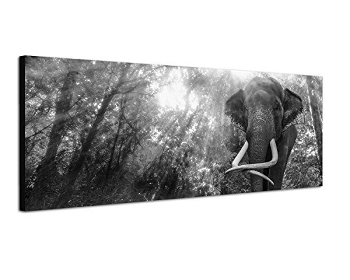 Augenblicke Wandbilder Keilrahmenbild Panoramabild SCHWARZ/Weiss 150x50cm Thailand Wald Wasserfall Elefant Sonnenlicht