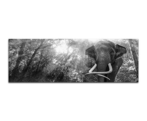 Augenblicke Wandbilder Keilrahmenbild Panoramabild SCHWARZ/Weiss 150x50cm Thailand Wald Wasserfall Elefant Sonnenlicht
