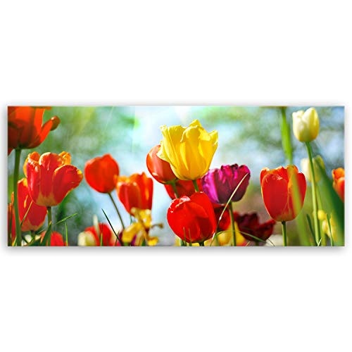 ge Bildet® hochwertiges Leinwandbild Panorama - Frühlings Tulpen - 120 x 50 cm einteilig 1311