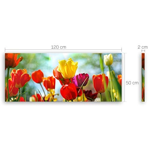 ge Bildet® hochwertiges Leinwandbild Panorama - Frühlings Tulpen - 120 x 50 cm einteilig 1311
