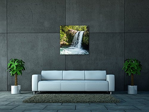 Keilrahmenbild - Tawhai Falls - Neuseeland - Bild auf Leinwand - 80x80 cm einteilig - Leinwandbilder - Landschaften - Kleiner Wasserfall im Regenwald