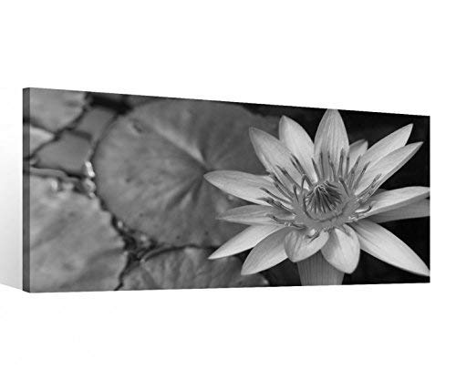 Leinwand 1 Tlg Blumen Seerose schwarz weiß Blume Blatt Bilder Wandbild 9C385 Holz - fertig gerahmt - direkt vom Hersteller, 1 Tlg BxH:80x40cm