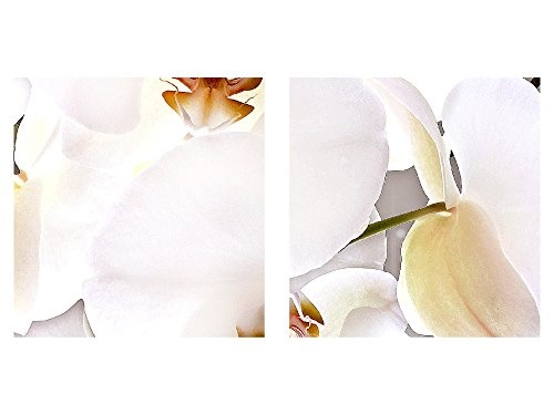 Bilder Blumen Orchidee Wandbild 200 x 100 cm Vlies - Leinwand Bild XXL Format Wandbilder Wohnzimmer Wohnung Deko Kunstdrucke Braun 5 Teilig - MADE IN GERMANY - Fertig zum Aufhängen 006351b