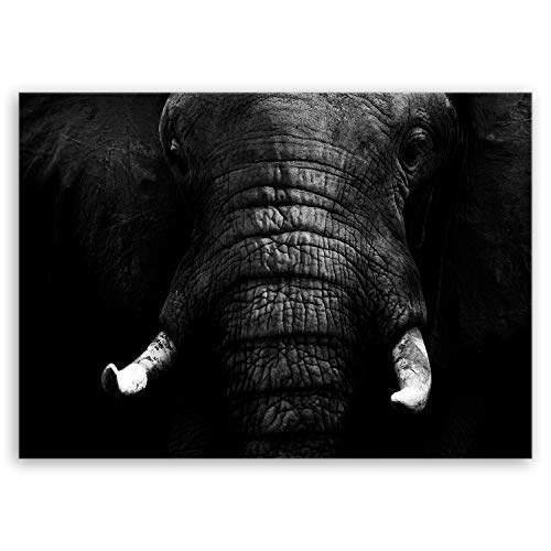 ge Bildet® hochwertiges Leinwandbild - Elefant -...