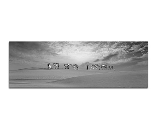Augenblicke Wandbilder Keilrahmenbild Panoramabild SCHWARZ/Weiss 150x50cm Dubai Wüste Sanddünen Kamele Safari