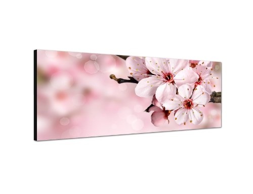Augenblicke Wandbilder Keilrahmenbild Wandbild 150x50cm Kirschblüte Sommer pink rosa
