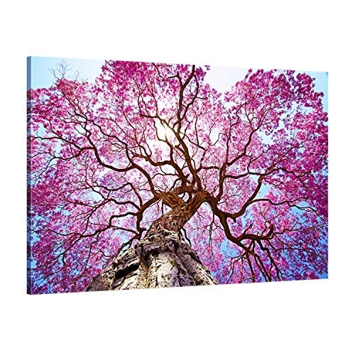 ge Bildet® hochwertiges Leinwandbild XXL Pflanzen Bilder - Rosa Lapacho Baum in Pocone - Brasilien - Natur Baum Pink Lila - 120 x 80 cm einteilig 2207 B