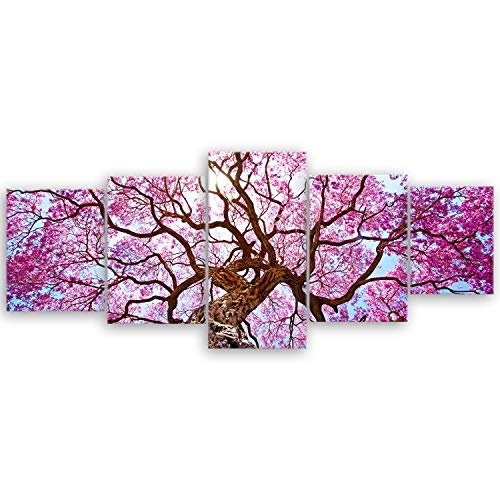 ge Bildet® hochwertiges Leinwandbild XXL Naturbilder Landschaftsbilder - Rosa Lapacho Baum in Pocone - Brasilien - Natur Baum Pink Lila - 200 x 80 cm mehrteilig (5 teilig) 2212 B