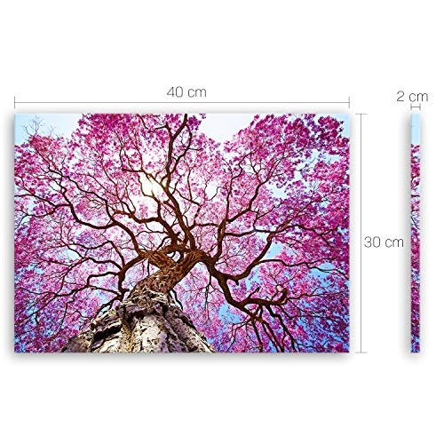 ge Bildet® hochwertiges Leinwandbild Naturbilder Landschaftsbilder - Rosa Lapacho Baum in Pocone - Brasilien - Natur Baum Pink Lila - 40 x 30 cm einteilig 2213 B