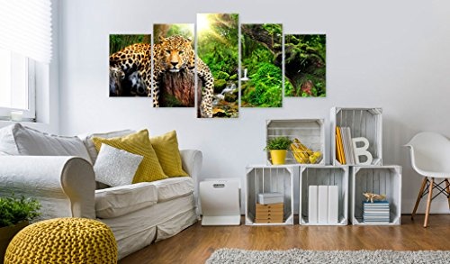 murando - Bilder 200x100 cm - Leinwandbilder - Fertig Aufgespannt - Vlies Leinwand - 5 Teilig - Wandbilder XXL - Kunstdrucke - Wandbild - Tier Leopard Natur g-C-0031-b-n