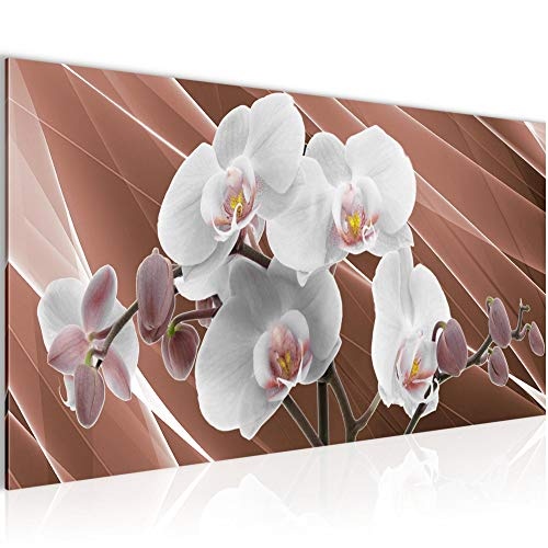 Bilder Blumen Orchidee Wandbild Vlies - Leinwand Bild XXL Format Wandbilder Wohnzimmer Wohnung Deko Kunstdrucke Braun 1 Teilig - MADE IN GERMANY - Fertig zum Aufhängen 203012a