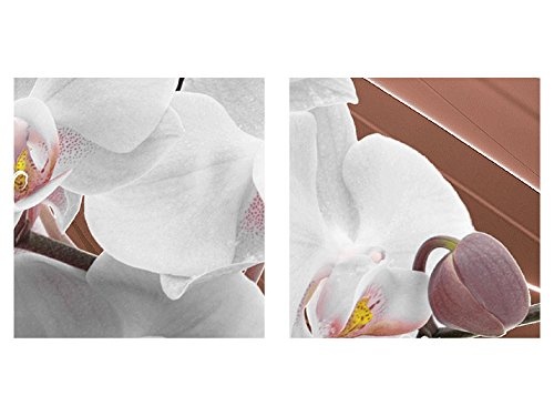 Bilder Blumen Orchidee Wandbild Vlies - Leinwand Bild XXL Format Wandbilder Wohnzimmer Wohnung Deko Kunstdrucke Braun 1 Teilig - MADE IN GERMANY - Fertig zum Aufhängen 203012a