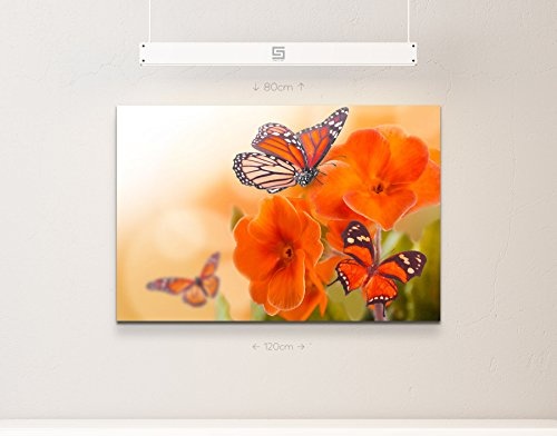 Paul Sinus Art Leinwandbilder | Bilder Leinwand 120x80cm orangene Blumen mit Schmetterlingen